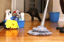 SCS Contract Cleaning Gloucester